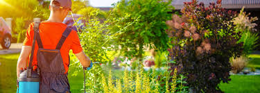 We've picked the top erlanger pest control companies, including terminix intl co ltd partnr, select pest control and pest pro pest solutions inc. Agriculture Branch