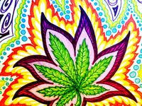 Cut a rectangle out of a piece of paper, tape it to a window, and draw only what is inside of the rectangle. 150 Trippy Drawings Ideas In 2021 Trippy Drawings Drawings Trippy