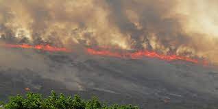 Η φωτιά που ξέσπασε στην πάρο, κατακαίει χορτολιβαδική έκταση στην περιοχή κώτσος. 2xzkqkbzen1owm