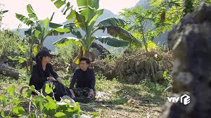 Hướng dương ngược nắng là một bộ phim truyền hình được thực hiện bởi trung tâm sản xuất phim truyền hình việt nam, đài truyền hình việt nam do nsưt vũ trường khoa làm đạo diễn. HÆ°á»›ng DÆ°Æ¡ng NgÆ°á»£c Náº¯ng HÆ°á»›ng DÆ°Æ¡ng NgÆ°á»£c Náº¯ng Táº­p 29 Huong Duong Nguoc Nang Ttvh Online