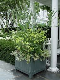 Shades Of Green Arrangement By Deborah Silver Container Plants Garden Containers Summer Planter