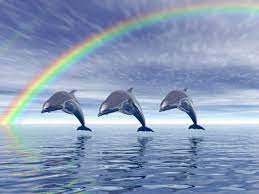 Hd Wallpapers Beautiful Dolphins Hd Wallpapers 1600x1200 Dolphins Dolphin Images Animals