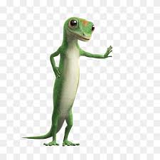 I also just started a new logo contest! Geico Png Images Pngwing