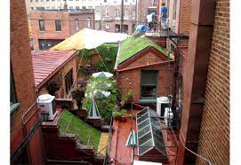 I have been here four times now, for both dinners and brunches, and each visit only confirms my belief that they truly deserve 5 stars!! The Tabard Inn Greenroofs Com