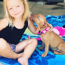 Fiona (black one) was adopted from SAAP just 10 days prior to this video.  She's a very loving dog who has found a new best friend in our other dog,  Bear.