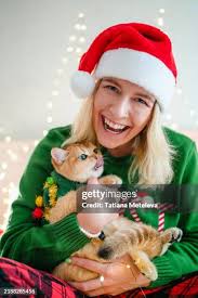 208 Ginger Cat Meow Stock Photos, High-Res Pictures, and Images