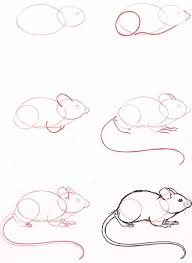 Veld Muis Drawings Animal Drawings Drawing Tutorial