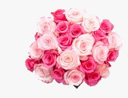 Maybe you would like to learn more about one of these? Transparent Birthday Bouquet Clipart Birthday Roses With Hd Hd Png Download Kindpng
