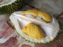 D17 coffee durian and mao shan wang (musang king) durian at combat durian balestier singapore. Guide To Durian Know The Difference Between Mao Shan Wang And D24