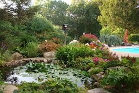 Sisko Gardens Public Garden Container Gardening Garden Show