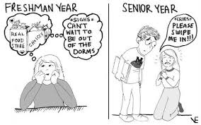 Cartoon Freshman Year To Senior Year First Year Student Freshman Year Senior Year