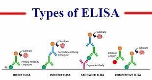 Pin On Life Science