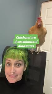 Make Chicken Sound Like Dinosaur