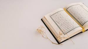 Discover the structure of verbal sentences. Online Qur An Reading Courses Zamzam Institute