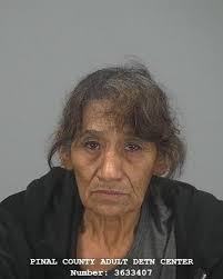 Pinal County Sheriff's log 12/22/23