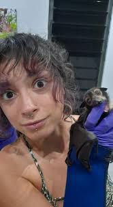 How a bat's wing works. :) The scientific name for bat is chiroptera, which  means hand-wing. Like humans, bats have five fingers and a thumb, a wrist,  a forearm and an upper