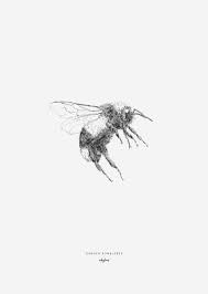A3 Posters Garden Bumblebee Jungle Drawing Bumble Bee True Art