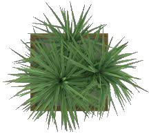 Commusphere Clippings Plantas Vegetacao Photoshop