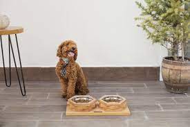 heexup medium tasarim kedi kopek mama kabi raised dog bowls elevated dog bowls dog bowls