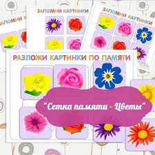 игры на развитие памяти для детей 4 5 лет Igry Dlya Razvitiya Pamyati I Vnimaniya Setka Pamyati Matematicheskie Zadachi Obuchayushie Podelki Materialy Montessori