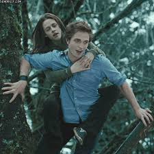 Twilight Fan Fiction In A Nutshell Twilight Pictures Twilight Fans Robert Pattinson Twilight