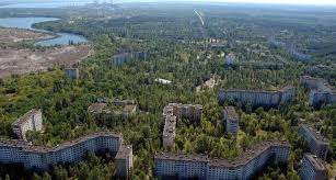 What happened with the animals in chernobyl. Animals In Chernobyl Green Tour Ukraine