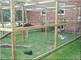 Build your own cat run or get a cat enclosure builder. How Can I Let My Cat Go Outside And Keep Him Safe Paws And Effect