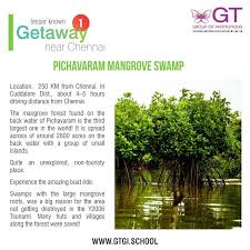 Gt Institutions On Twitter Mangrove Forest Mangrove Swamp Man Groves