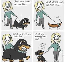 Dachshund Funny Dachshund Dachshund Cartoon Dog Comics