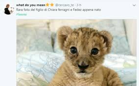 Secondo voi tutta questa pubblicità data al neonato è esagerata o va bene così? Leone Lucia Ferragni La Rete Impazzisce Per Il Figlio Di Chiara Ferragni E Fedez Tvzap