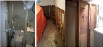 Handling a mold infestation alone can be dangerous and costly. Basement Mold Removal In Southern Ontario Kleen Condition