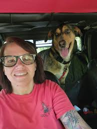 How to get a dog comfortable with off-roading in a Jeep?
