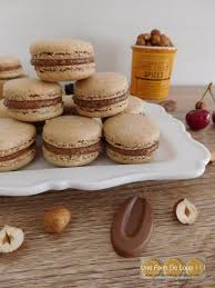 Macarons A La Noisette Recette Macaron Recette A Base De Noisette Macaron Amande