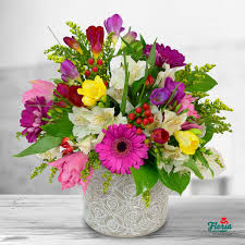 Lalele, zambile, frezii, lacramioare, narcise si liliac. Flori De Primavara