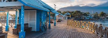 Image result for Ceiba