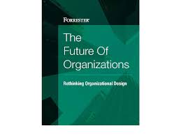 Future Of Organizations Rethinking Organizational Design