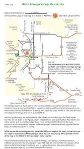 Maybe you would like to learn more about one of these? Borrego Springs Flower Maps Side By Side View
