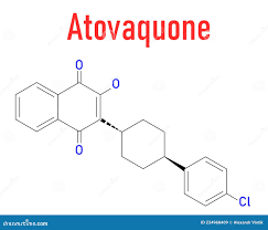 Image result for Atovaquone