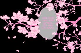 Love like cherry blossoms average 4.5 / 5 out of 187. Download Hd Drawn Cherry Blossom Transparent Cherry Blossom Pink Manga Transparent Png Image Nicepng Com