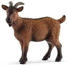 The popular phrase lends itself well to modification, like when. Schleich Goat Toy Figure Brown 13828 Buy Online At Best Price In Uae Amazon Ae