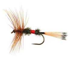 12 tips to catch a monster! Trout Flies Fly And Flies