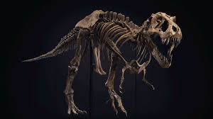 El T. Rex 'Stan' arrasa en Nueva York: su esqueleto se subasta por 27 M de  euros