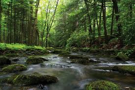 From potter's mills, drive one mile east on u.s. Fishing Hiking At Big Poe Creek In Poe Paddy State Park