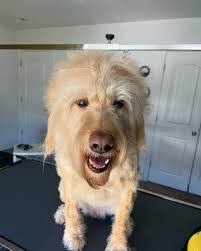 Tabitha Baysden's Instagram, Twitter & Facebook