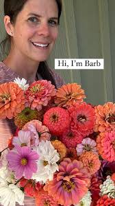 Brown petals are a good clue that your zinnias are starting to make seeds.  In ideal circumstances, the best thing to do is leave the flowers