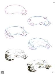 Een Kat Tekenen Overig Zoogdieren Dieren Tekenen Realistisch Tekenen Tekenen Goed Leren Teke Dieren Tekenen Katten Tekening Realistische Tekeningen