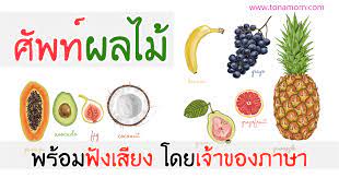 หลักสูตรอบรมฟรี สัมมนาฟรี คอร์สฟรี และสัมมนาออนไลน์ฟรี ที่เปิดกว้างให้บุคคลทั่วไป,พนักงานบริษัท,เจ้าของกิจการ,หรือองค์กรต่างๆ เข้าอบรม. à¸œà¸¥à¹„à¸¡ à¸ à¸²à¸©à¸²à¸­ à¸‡à¸à¸¤à¸© à¸£à¸§à¸¡à¸„à¸³à¸¨ à¸žà¸— à¸œà¸¥à¹„à¸¡ à¸„à¸³à¸­ à¸²à¸™ à¸žà¸£ à¸­à¸¡à¸Ÿ à¸‡à¹€à¸ª à¸¢à¸‡