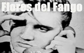 Victor Cobo's Instagram, Twitter & Facebook