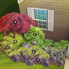Shade Plants For Pacific Coast Region Including Japanese Maple Creeping Jenny Japanese Laurel Japanese Garden Plants Shade Garden Design Japanese Garden Design