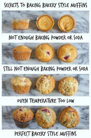 Learn The How To Bake Muffins With Muffin Tops This Carefully Tested Basic Muffin Recipe Makes Muffins W Basic Muffin Recipe Bakery Style Muffins Baked Bakery